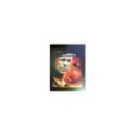 LA JUNGLA DE CRISTAL 4.0 DIE HARD 4.0 - 2 DVD STEELBOOK ESPAÑOL ENGLISH - AM