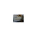 ICE AGE 2 SPECIAL EDITION 2 DVD STEELBOOK + EXTRAS ENGLISH DEUTSCH GERMAN ED AM