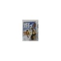 ICE AGE 2 SPECIAL EDITION 2 DVD STEELBOOK + EXTRAS ENGLISH DEUTSCH GERMAN ED AM