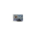 ICE AGE 2 SPECIAL EDITION 2 DVD STEELBOOK + EXTRAS ENGLISH DEUTSCH GERMAN ED AM