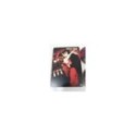 MOULIN ROUGE 2 X DVD STEELBOOK NICOLE KIDMAN EWAN MCGREGOR ESPA?OL ENGLISH - 3T
