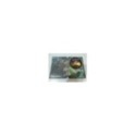 El Castillo Ambulante Hayao Miyazaki Studio Ghibli - 2 x DVD Steelbook - 3T