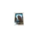 Batman El Caballero Oscuro Christopher Nolan 2x DVD Steelbook Espa?ol English 2T