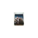 Fast And Furious 5 Steelbook Metalica Vin Diesel Paul Walker - Blu-Ray + DVD