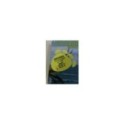 DINOTREN TEMPORADA 3 - 4 DVD 32 AVENTURAS SERIE TV CLAN ESPAÑOL ENGLISH - 3T