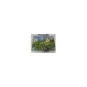 DINOTREN TEMPORADA 3 - 4 DVD 32 AVENTURAS SERIE TV CLAN ESPAÑOL ENGLISH - 3T