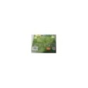 DINOTREN TEMPORADA 3 - 4 DVD 32 AVENTURAS SERIE TV CLAN ESPAÑOL ENGLISH - 3T