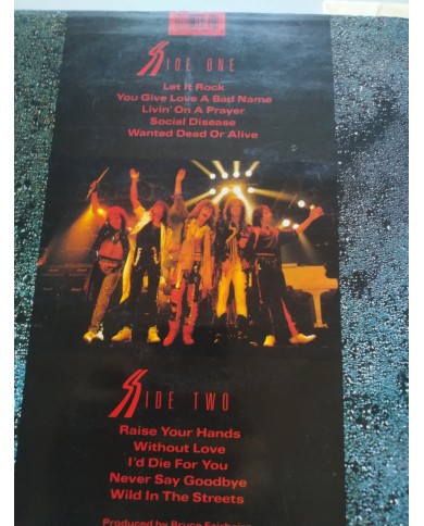 Bon Jovi Slippery When Wet 830264-1 1986 First Press LP Vinilo 12" VG/VG Mg Am