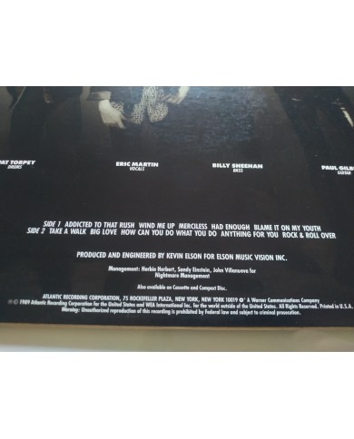 Mr Big Mr Big 1989 81990-1 USA First Press Atlantic LP Vinilo 12" VG/VG Mg Am