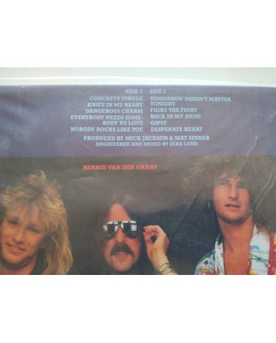 Sinner Dangerous Charm N0101-1 1987 First Press - LP Vinilo 12" VG/VG Mg Am