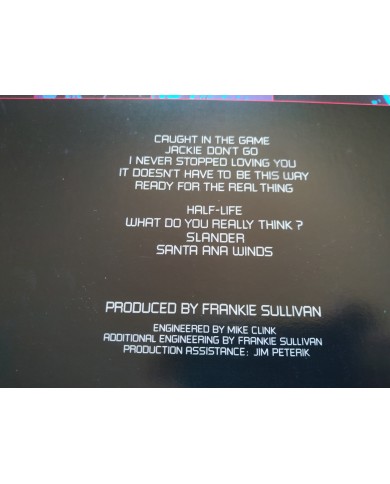 Survivor Caught In The Game PZ38791 1983 First Press LP Vinilo 12" VG/VG Mg Am