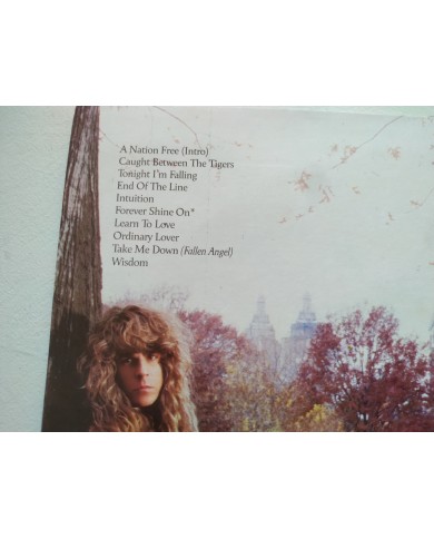 TNT Intuition 836777-1 1989 Polygram Spain First Press LP Vinilo 12" VG/VG Mg Am