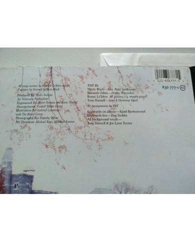 TNT Intuition 836777-1 1989 Polygram Spain First Press LP Vinilo 12" VG/VG Mg Am