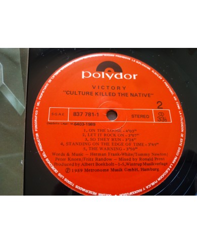 Victory Culture Killed The Native 1989 First Press - LP Vinilo 12" VG/VG Mg Am