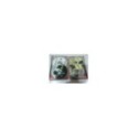 COSTUME DRAMAS - ELISABETH - SENSE & SENSIBILITY AND 3 MORE 5 DVD STEELBOOK - AM