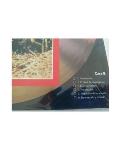 EL HOMBRE DE COLORADO - MAN FROM COLORADO DVD Tin Box Steelbook - AM