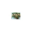 Weeds TEMPORADA 6 DVD Mary-Louise Parker Hunter Parrish 3 DVD - AM