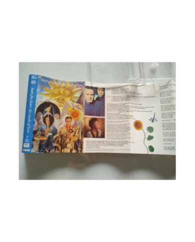 TEARS FOR FEARS THE SEEDS OF LOVE CINTA TAPE CASSETTE FONTANA SPANISH EDITION Am