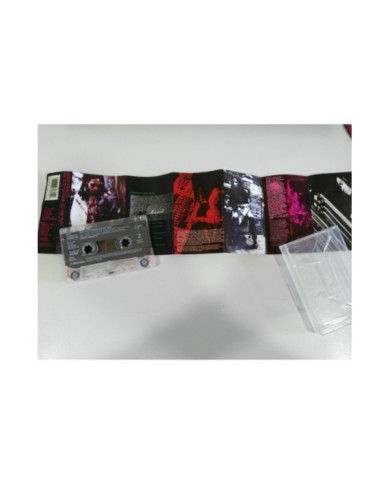 LENNY KRAVITZ ARE YOU GONNA GO MY WAY TAPE CASSETTE HOLLAND Edit 1993 VIRGIN Am