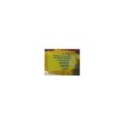 CUENTOS INFANTILES DE AVENTURAS 6 DVD EN CAJA GRANDE ALI BABA SIMBAD