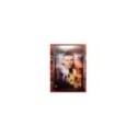 BLADE RUNNER MONTAJE FINAL 2 X DVD STEELBOOK HARRISON FORD - 5T