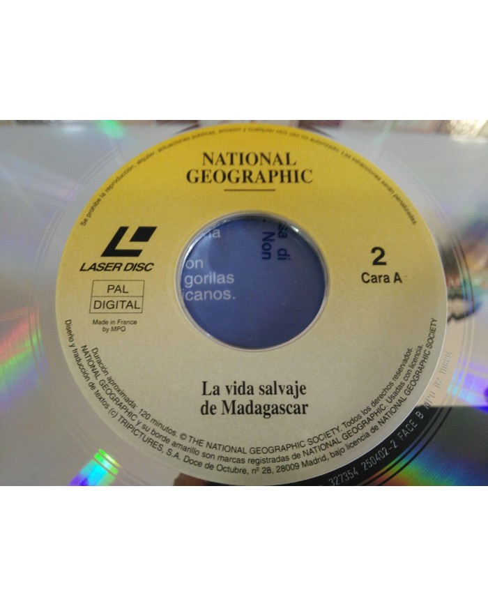 LA VIDA SALVAJE DE MADAGASCAR TIBURONES - LASERDISC LD NATIONAL GEOGRAPHIC VIDEO