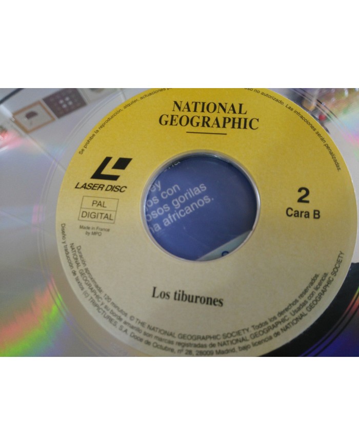 LA VIDA SALVAJE DE MADAGASCAR TIBURONES - LASERDISC LD NATIONAL GEOGRAPHIC VIDEO