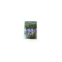 El Internado Laguna Negra Tercera Temporada 2 Completa - 4 x DVD - 3T