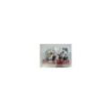The Big Bang Theory Cuarta Temporada 4 Completa - 3 x DVD Espa?ol Ingles 3T