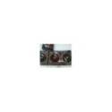 True Blood Segunda Temporada 2 Completa Ed Inglesa - 5 x DVD Espa?ol Ingles - 3T
