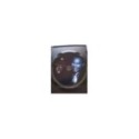 George Benson Absolutely Live Jazz - DVD Region All 2T