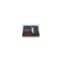 Madeleine Peyroux Somethin Grand Live 2009 in L.A. DECCA NTSC Region 0 - DVD 3T