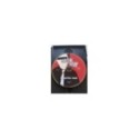 Green Day Suburbia Bomb Region All 2005 Ingles Espa?ol - DVD Am