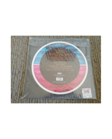 THE RAMONA FLOWERS DISMANTLE AND REBUILD LP 12" VINYL VINILO 2014 Nuevo - 4T