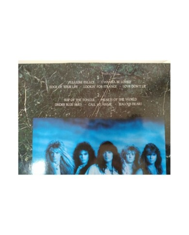 House of Lords Firs Press German Edition 1988 - LP Vinilo 12" VG/VG - 4T House of Lords Firs Press German Edition 1988 - LP Vinilo 12" VG/VG - 4T