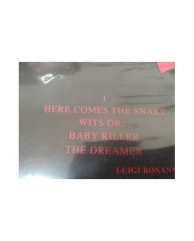 Garcon Fatal Love & Pride Italia Edition - LP 12" Vinilo Rojo VG+/VG+ - 5T