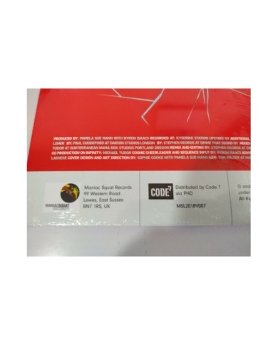 Pamela Sue Mann Break 2019 Limited to 500 Copies LP Vinilo 12" NUEVO - 4T