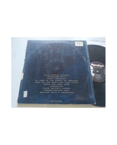 The Icicle Works If You Want to Defeat Your Enemy 1987 LP 12" Vinilo G+/G+ - 4T