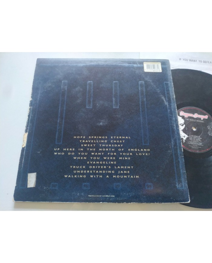 The Icicle Works If You Want to Defeat Your Enemy 1987 LP 12" Vinilo G+/G+ - 4T