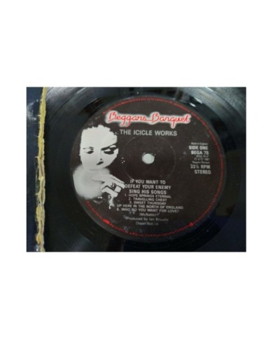 The Icicle Works If You Want to Defeat Your Enemy 1987 LP 12" Vinilo G+/G+ - 4T