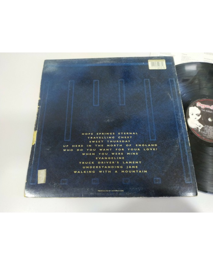 The Icicle Works If You Want to Defeat Your Enemy 1987 LP 12" Vinilo G+/G+ - 4T