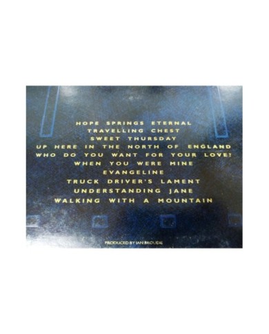 The Icicle Works If You Want to Defeat Your Enemy 1987 LP 12" Vinilo G+/G+ - 4T