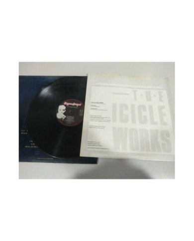The Icicle Works If You Want to Defeat Your Enemy 1987 LP 12" Vinilo G+/G+ - 4T