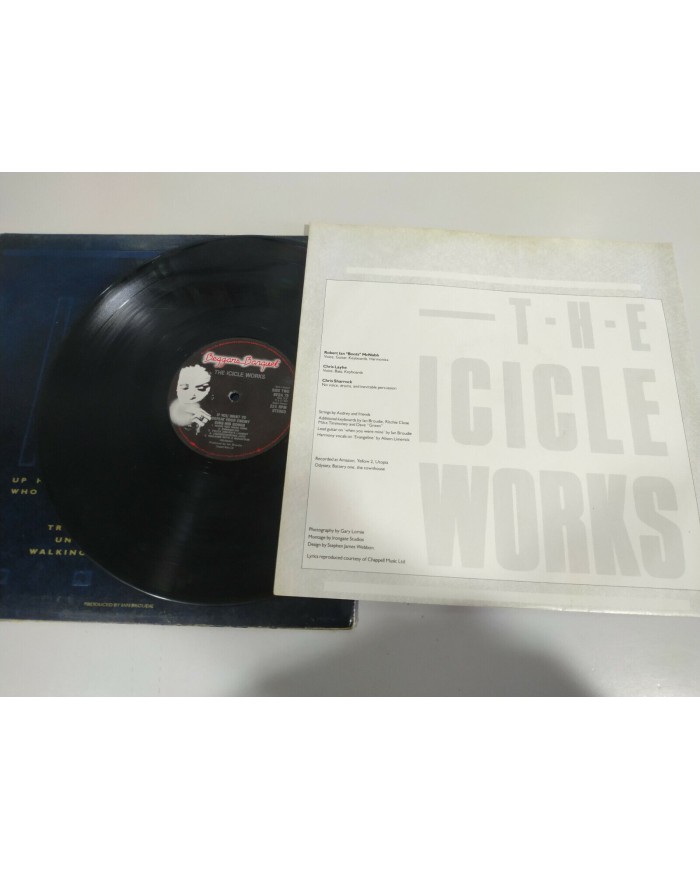 The Icicle Works If You Want to Defeat Your Enemy 1987 LP 12" Vinilo G+/G+ - 4T