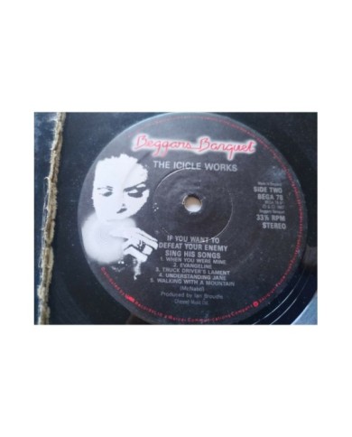 The Icicle Works If You Want to Defeat Your Enemy 1987 LP 12" Vinilo G+/G+ - 4T