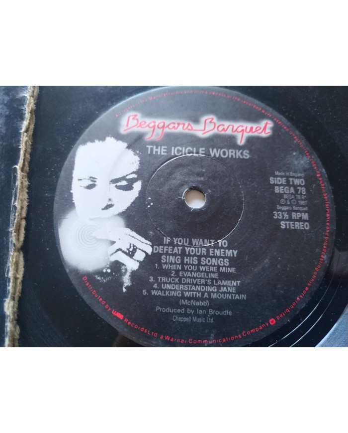 The Icicle Works If You Want to Defeat Your Enemy 1987 LP 12" Vinilo G+/G+ - 4T