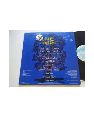 A Little Night Music Glynis Johns Len Cariou Gingold 1973 LP 12" Vinilo VG/VG 2T A Little Night Music Glynis Johns Len Cariou Gingold 1973 LP 12" Vinilo VG/VG 2T