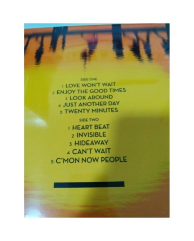 Ten Millennia Love Won?t Wait - 2018 LP Vinilo 12" Nuevo - 4T