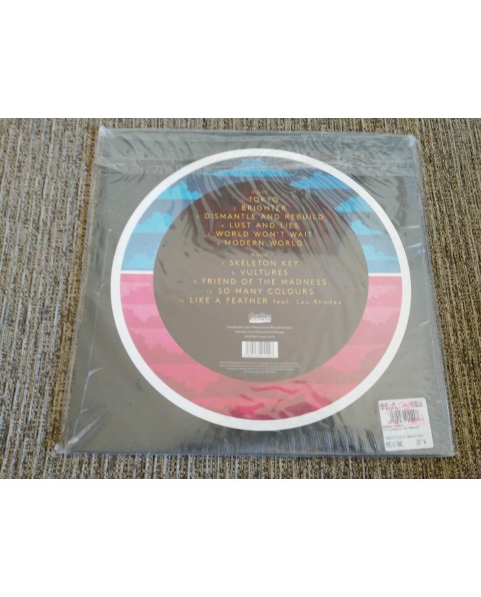 THE RAMONA FLOWERS DISMANTLE AND REBUILD LP 12" VINYL VINILO 2014 Nuevo - 4T