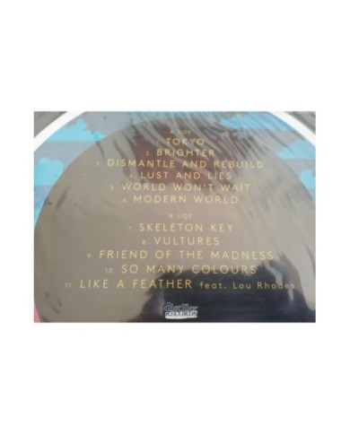 THE RAMONA FLOWERS DISMANTLE AND REBUILD LP 12" VINYL VINILO 2014 Nuevo - 4T